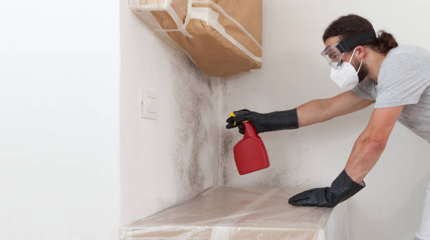 Attic Mold Remediation treatment on roof deck in Midland